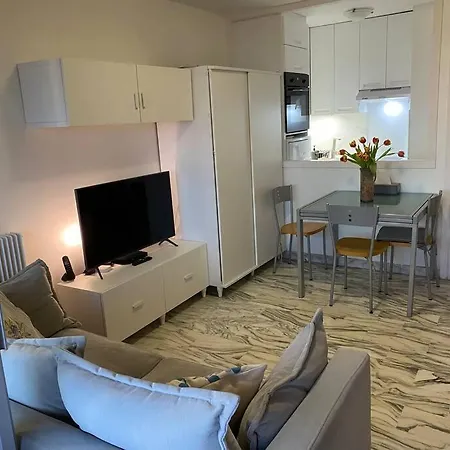 Sea View - Private Parking, Swimming Pool, Air Conditioning * カーニュ・シュル・メール